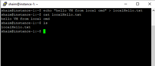 Accessing VM instance from the local environment