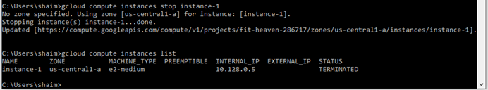 Stopping an instance through the local environment