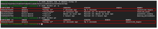 Ubuntu sleep running in the background