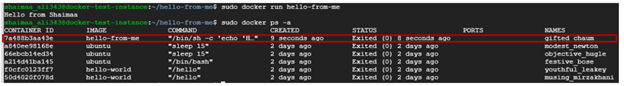 Running hello-from-me container